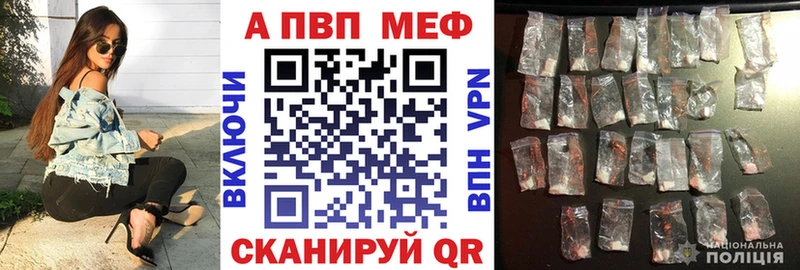 Альфа ПВП СК  Каменка 