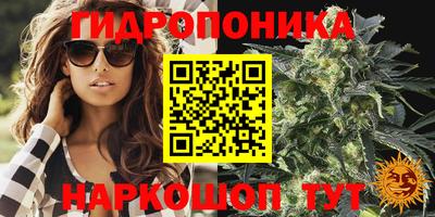 прущие крисы Гагарин