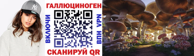 как найти закладки  Каменка  Псилоцибиновые грибы Psilocybe 